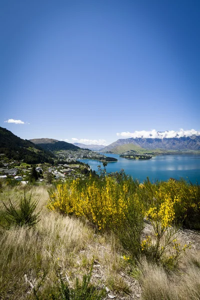 Vista soleggiata di Queenstown sull'isola meridionale della Nuova Zelanda — Foto Stock