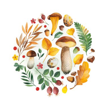 Yapraklar, böğürtlenler, dallar, fındıklar, mantarlar, yumurta, meşe palamutları, çiçekler ve daha fazlası ile suluboya çerçevesi. Düğün, düğün partisi, çıkartmalar, yapıştırmalar, hatıra defteri, davetiyeler, logo, doğum günü ve daha fazlası için mükemmel.
