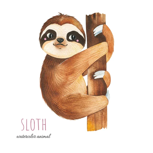 Cute Sloth Tree Watercolor Animal White Background Perfect Wallpaper Print — Stock Photo, Image