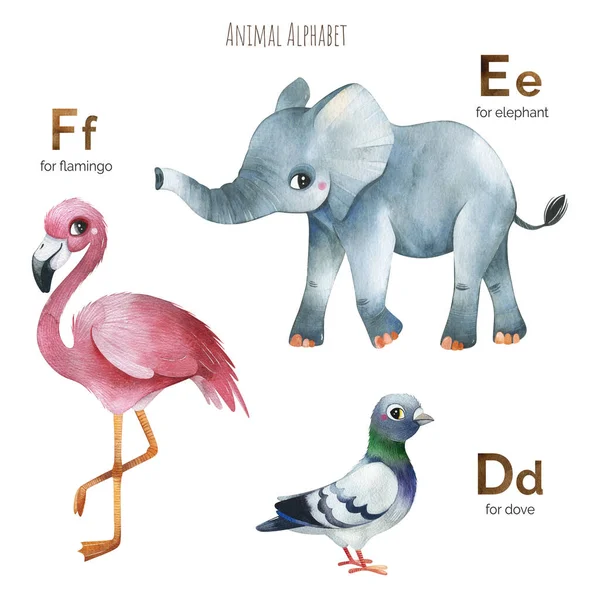 Cute Animal Alphabet Learn Litery Zabawnych Zwierząt Def Perfect Dla — Zdjęcie stockowe