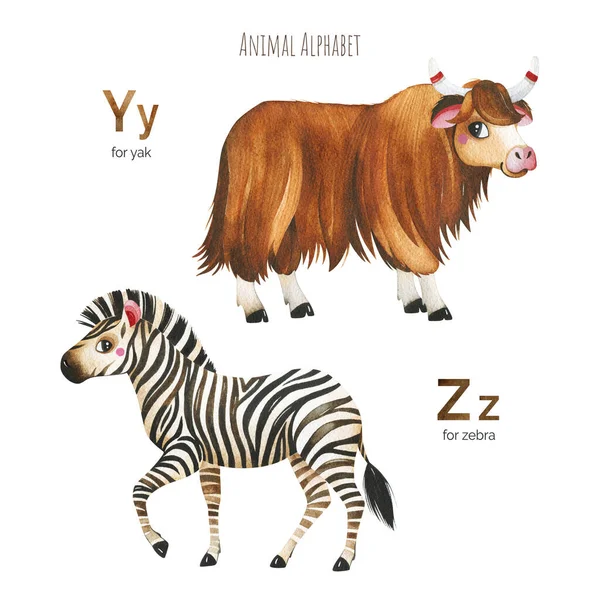 Cute Animal Alphabet Learn Litery Zabawnych Zwierząt Perfect Edukacji Baby — Zdjęcie stockowe