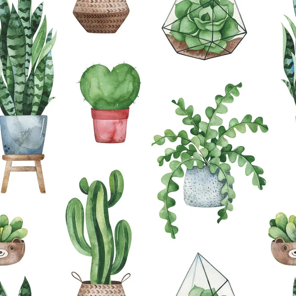 Akvarell Krukväxter Textur Fresh Sömlös Bakgrund Perfekt För Ditt Projekt — Stockfoto