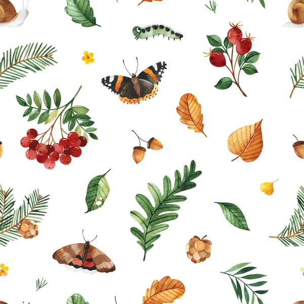 Akvarell Höst Bakgrund Med Skogsväxter Och Djur — Stockfoto