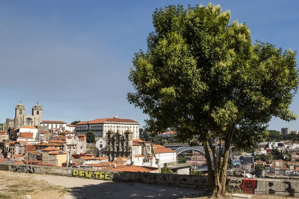 View Cathedral Old Center Porto Portugal — Stock Photo, Image