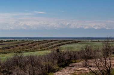 Orta Asya, Kazakistan 'ın geniş çayır manzarası