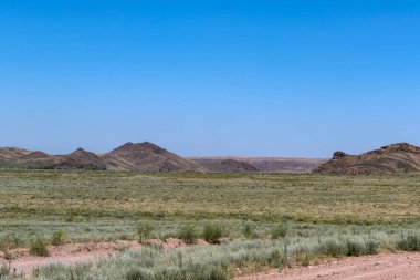 Orta Asya, Kazakistan 'ın geniş çayır manzarası