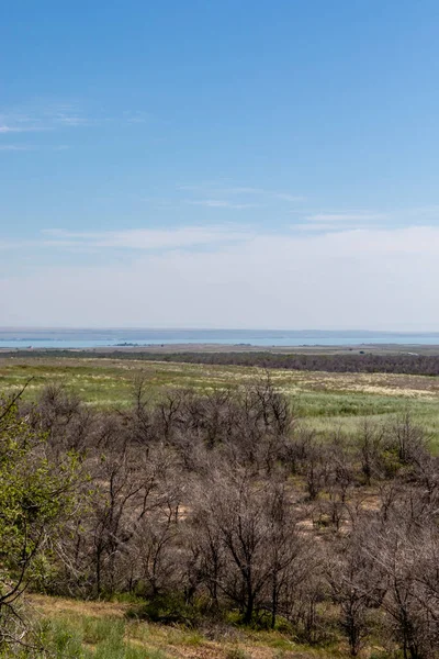 Amplio Paisaje Pastizales Con Lago Montañas Kazajstán Asia Central — Foto de Stock