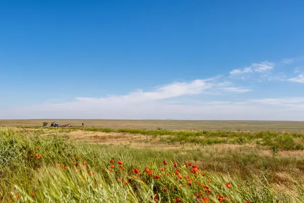 Breed Graslandlandschap Van Kazachstan Centraal Azië — Stockfoto