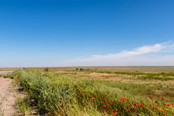 Breed Graslandlandschap Van Kazachstan Centraal Azië — Stockfoto