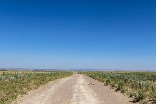 Breed Graslandlandschap Van Kazachstan Centraal Azië — Stockfoto