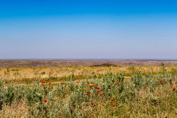 Breed Graslandlandschap Van Kazachstan Centraal Azië — Stockfoto