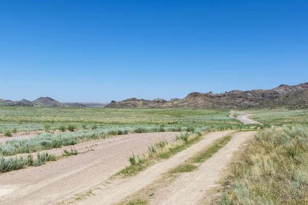 Large Paysage Prairies Kazakhstan Asie Centrale — Photo