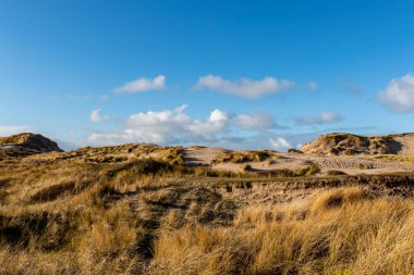 Bergen aan Zee 'deki kum manzarası, Noord-Holland, Hollanda, Avrupa