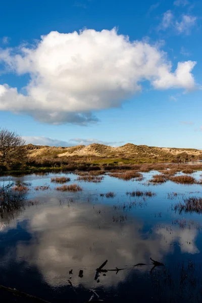 Dune Landskap Bergen Aan Zee Noord Holland Nederländerna Europa — Stockfoto