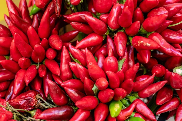 Basket Fresh Red Peppers Sale Market Gallipoli Puglia South Italy — Stock Photo, Image