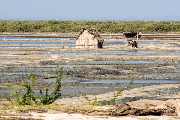 Natural Salt Pans Tamil Nadu Region South India Asia — 图库照片