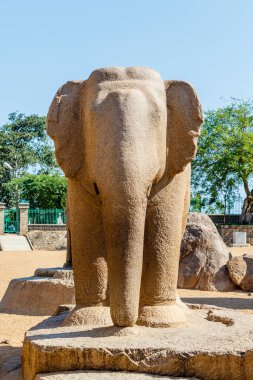 Mamallapuram 'daki Pancha Rathas (5 Rathas) heykellerinden biri olan fil heykeli, Tamil Nadu, Güney Hindistan, Asya' daki Unesco Dünya Mirası