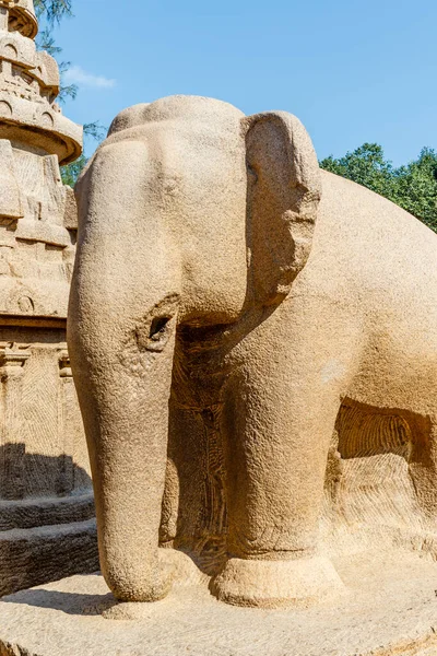 Elefantstaty Pancha Rathas Five Rathas Mamallapuram Ett Unescos Världsarv Tamil — Stockfoto