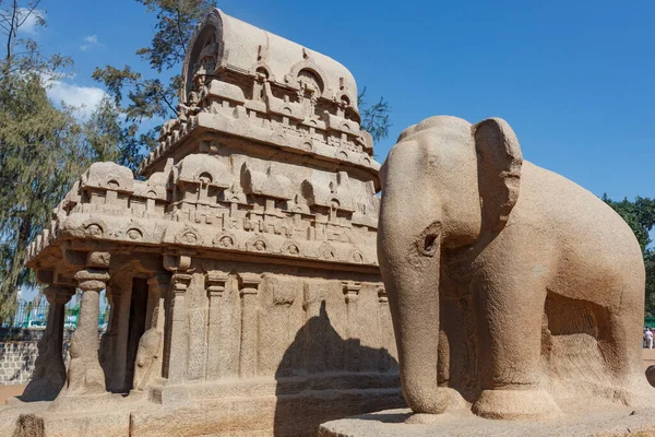 Nakula Sahadeva Ratha Och Elefantstaty Pancha Rathas Five Rathas Mamallapuram — Stockfoto