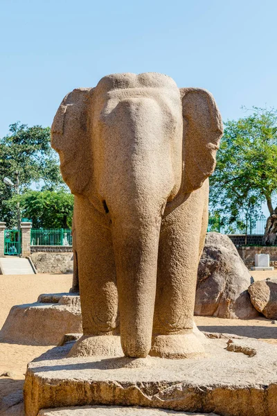 大象雕像 Pancha Rathas Five Rathas Mamallapuram的雕像之一 是印度南部泰米尔纳德邦的一个联合国世界遗产 — 图库照片