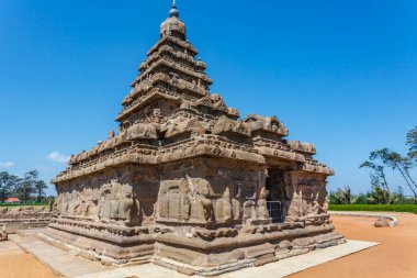 Mamallapuram, Tamil Nadu, Güney Hindistan, Asya 'daki Shore Temple kompleksinin (Pallava hanedanı) dışında.