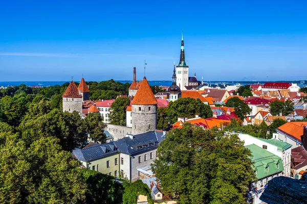 Widok Historyczne Centrum Średniowieczny Mur Miejski Tallin Estonia Europa Wschodnia — Zdjęcie stockowe