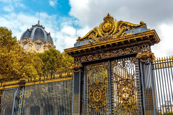 Ozdobna Brama Wejściowa Pałacu Sprawiedliwości Gmach Sądu Ile Cite Paryż — Zdjęcie stockowe