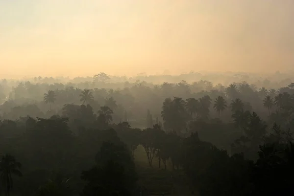 Vista Selva Brumosa Con Palmeras Desde Templo Borobudur Durante Amanecer — Foto de Stock