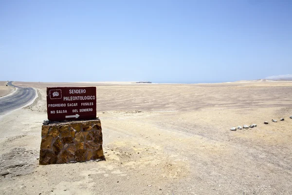 Öknen vid havet i nationalparken Paracas i Ica, Peru, Sydamerika — Stockfoto