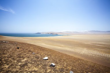 ICA, Peru, Güney Amerika'da Milli Parkı Paracas okyanusta yanında çöl