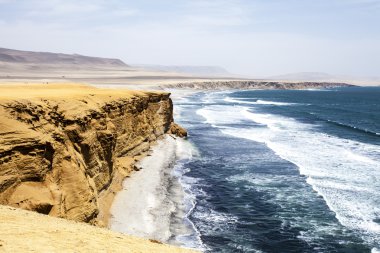 ICA, Peru, Güney Amerika'da Milli Parkı Paracas okyanusta yanında çöl