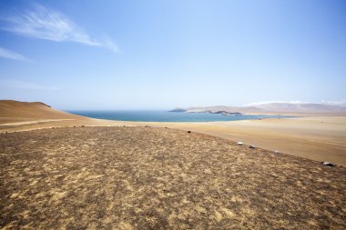 ICA, Peru, Güney Amerika'da Milli Parkı Paracas okyanusta yanında çöl