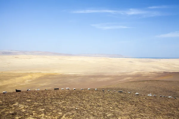Deserto próximo ao oceano no Parque Nacional Paracas em Ica, Peru, América do Sul — Fotografia de Stock