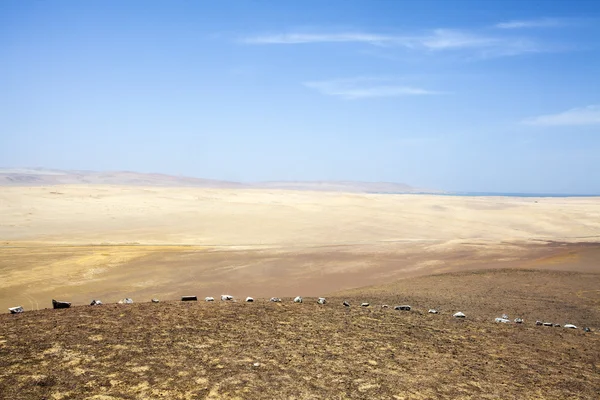 Öknen vid havet i nationalparken Paracas i Ica, Peru, Sydamerika — Stockfoto