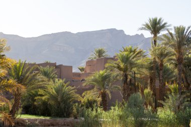 Afra - Tagounith alan Güney Fas vaha