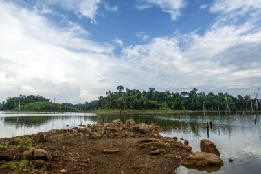Brokopondostuwmeer reservoir seen from Ston EIland - Suriname  - South America clipart