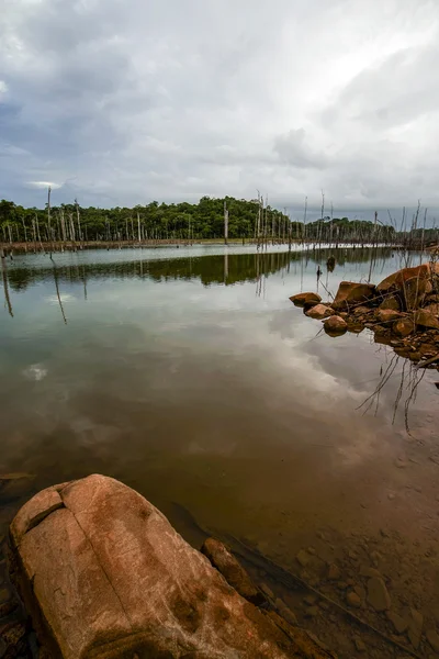 Брокопондостумерское водохранилище из Стон-Элланда - Суринам - Южная Америка — стоковое фото