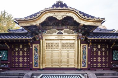 Toshogu tapınak Ueno Park - Tokyo - Japonya