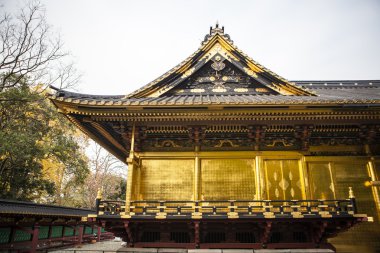 Toshogu tapınak Ueno Park - Tokyo - Japonya