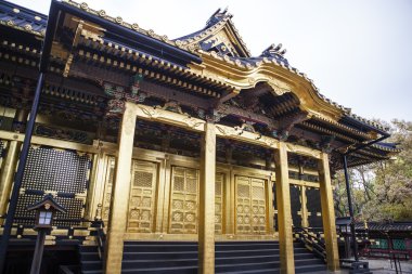 Toshogu tapınak Ueno Park - Tokyo - Japonya