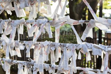 Omikujin - Shinto Tapınağı Ueno Park - Tokyo - Japonya