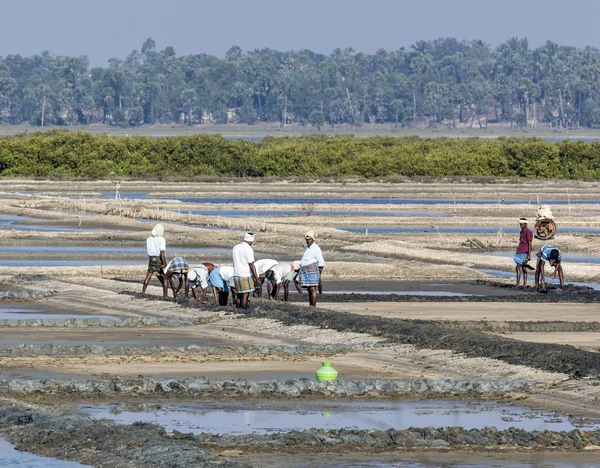 Indianer arbeiten in einer Salzpfanne in Tamil Nadu - Südindien — Stockfoto