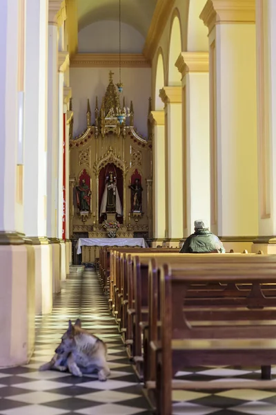 Pessoas orando dentro da igreja Iglesia Nuestra Senora del Rosario em Cafayate, província de Salta, Norte da Argentina - América do Sul — Fotografia de Stock