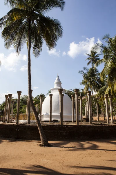 Большая белая ступа / пагода, окруженная столбами, в Минтале, Шри-Ланка - Азия — стоковое фото