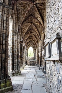 Holyrood Abbey Edinburgh, İskoçya, Birleşik Krallık'taki kalıntıları