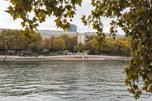 Brzegiem rzeki Sekwany w centrum Paryża, podczas upadku — Zdjęcie stockowe