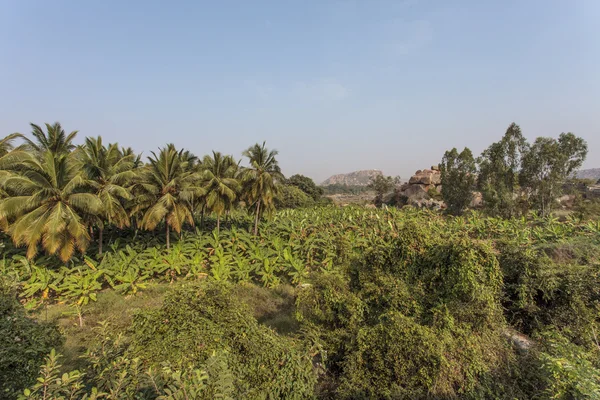 Landschaft aus Felsen und grünen Feldern in der antiken Stätte von Hampi, Karnataka - Indien - Asien — Stockfoto