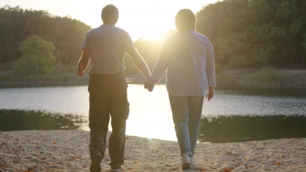 Couple âgé tenant la main tout en marchant ensemble dans le parc. Couple aîné en promenade dans la nature automnale. Bonheur mode de vie des gens. — Video