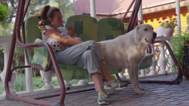 Gülümseyen bayan köpeğiyle boş zaman geçiriyor. Doğada büyük köpeğiyle rahatlayan bir kadın. Sırtını kaşıyorum. Köpek sahibinin burnunu yalıyor..
