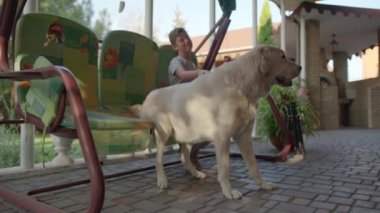 Çocuk köpeğiyle boş zaman geçiriyor. Çocuk, büyük köpeğiyle doğada dinleniyor..